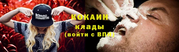 прущие крисы Пестово