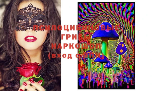 скорость Всеволожск