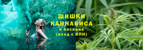 прущие крисы Пестово